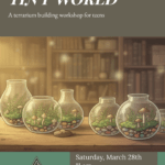illustrated poster for a teen terrarium workshop titled “Create Your Own Tiny World.” Several glass terrariums with moss, plants, and small mushrooms sit on a wooden table in front of blurred library shelves, with warm golden lighting and soft glowing specks.